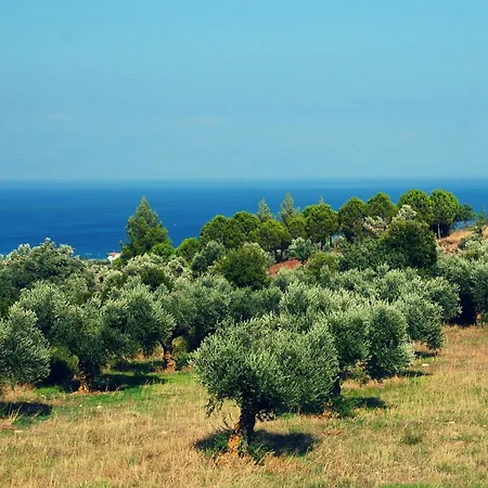 Villa Boutique Villas *